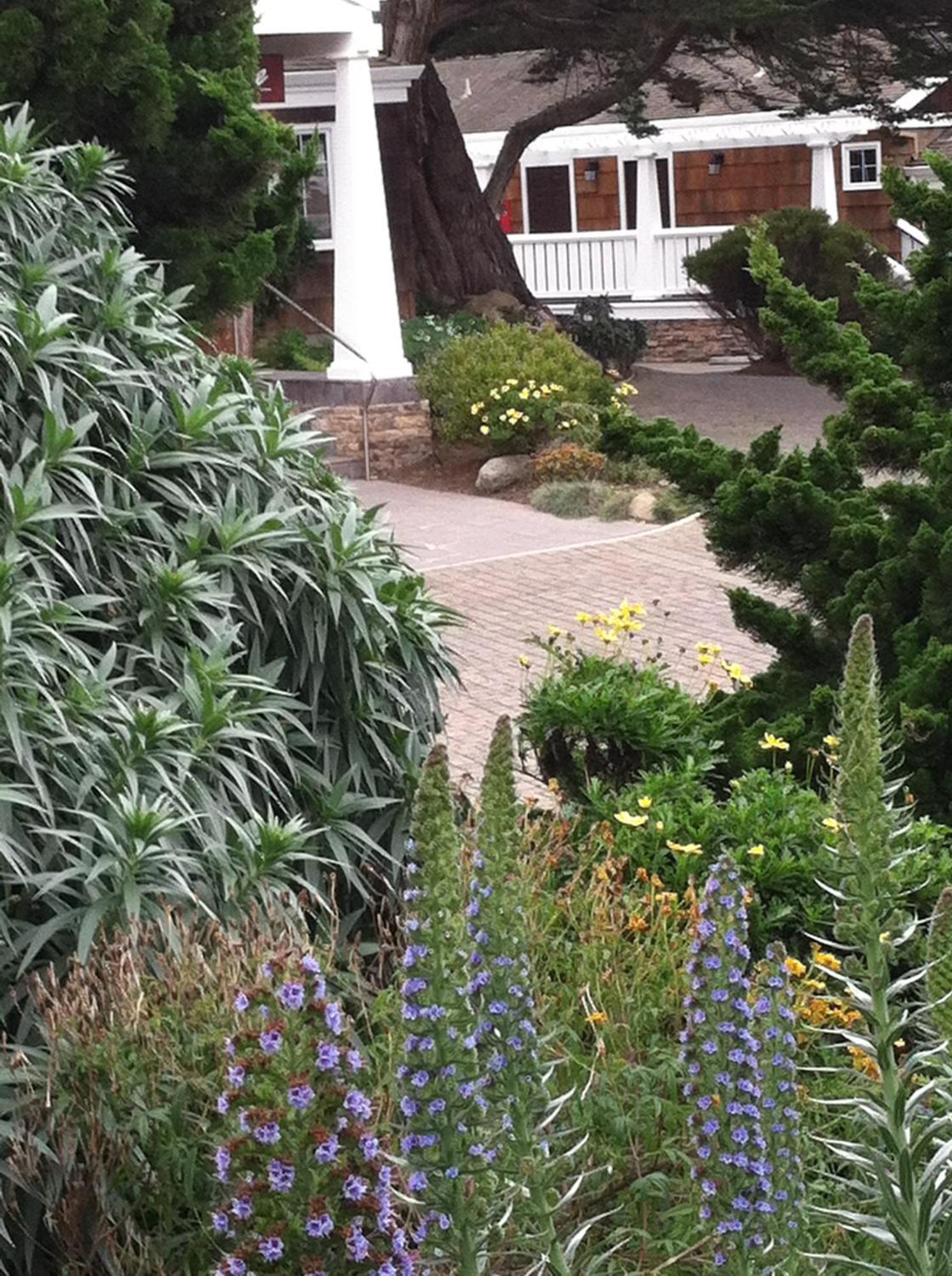 Lighthouse Lodge & Cottages Pacific Grove Exteriér fotografie