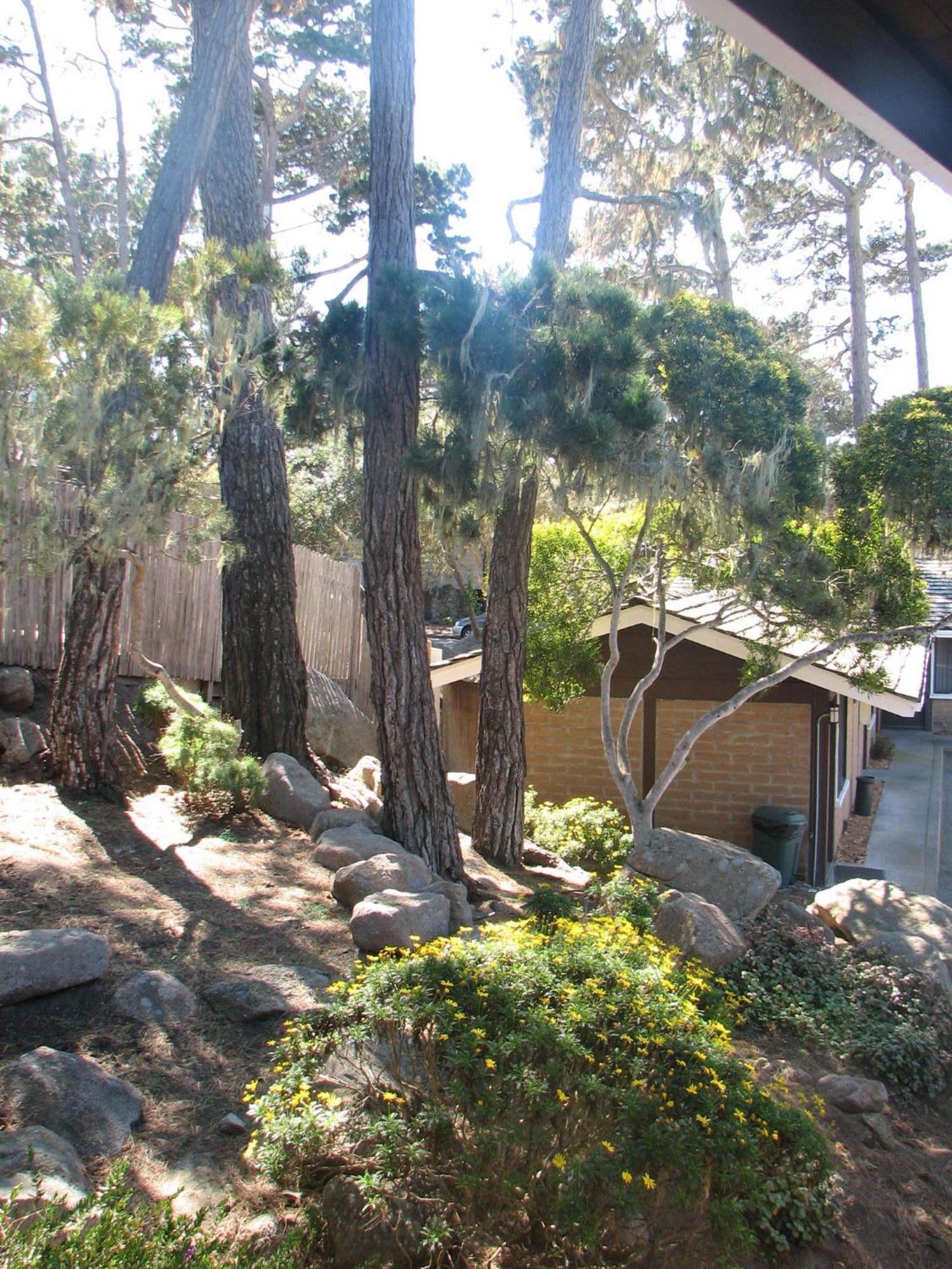 Lighthouse Lodge & Cottages Pacific Grove Exteriér fotografie