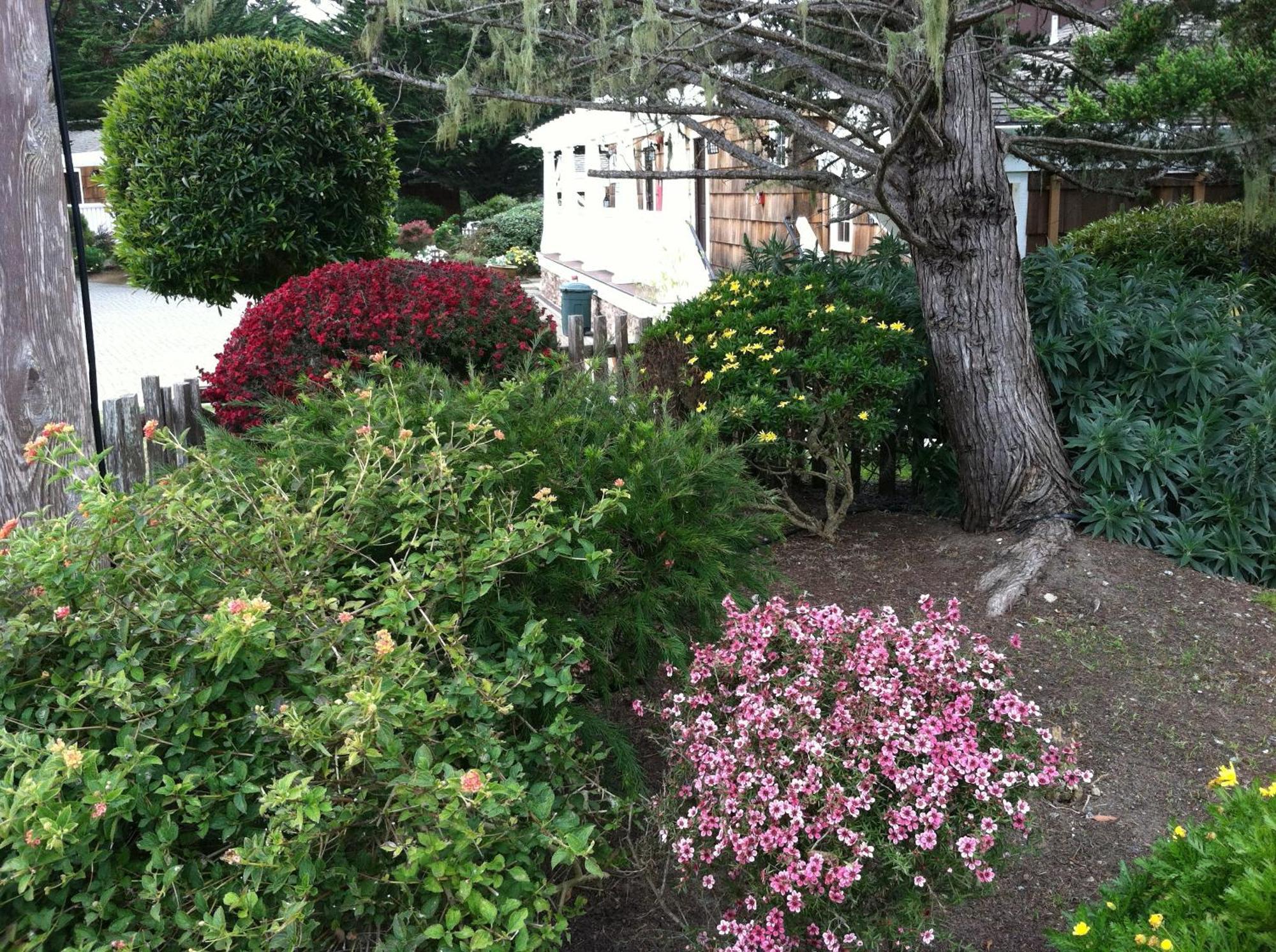 Lighthouse Lodge & Cottages Pacific Grove Exteriér fotografie